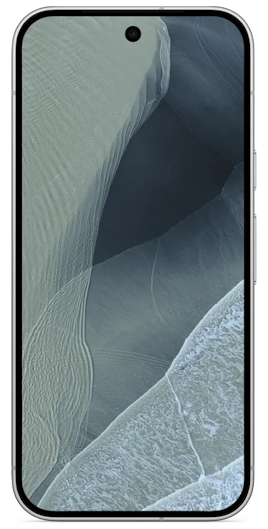 Pixel 11 Pro 256GB Fog